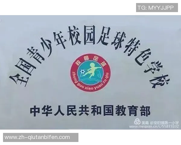 全面提升青少年足球水平的系统性训练与发展计划